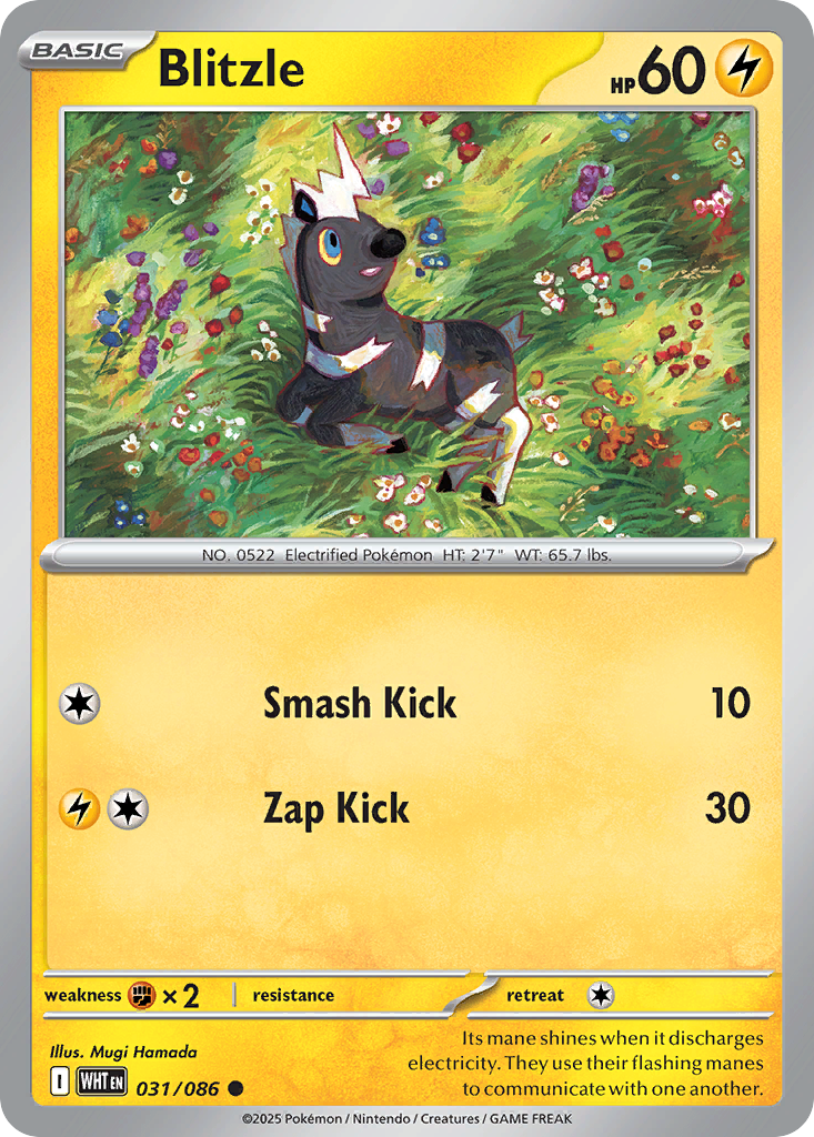 Losse Pokemonkaart 031/086 - Blitzle - White Flare - [Common] - Reverse Holo
