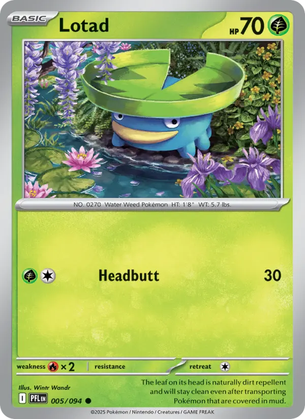 Losse Pokémonkaart 005/094 - Lotad - Phantasmal Flames - [Common]