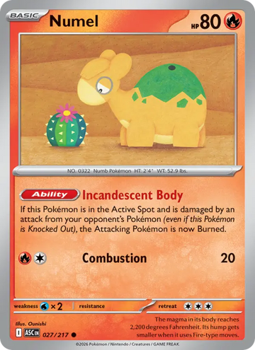 Losse Pokémonkaart 027/217 - Numel - Ascended Heroes - [Common]