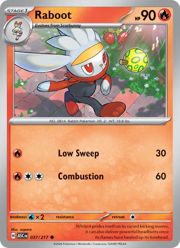 Losse Pokémonkaart 037/217 - Raboot - Ascended Heroes - [Common] - Energy Reverse Holo