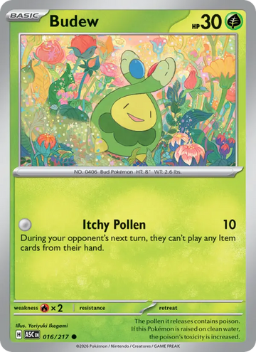 Losse Pokémonkaart 016/217 - Budew - Ascended Heroes - [Common] - Friendball Reverse Holo