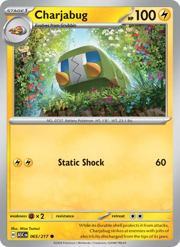 Losse Pokémonkaart 065/217 - Charjabug - Ascended Heroes - [Common] - Quickball Reverse Holo