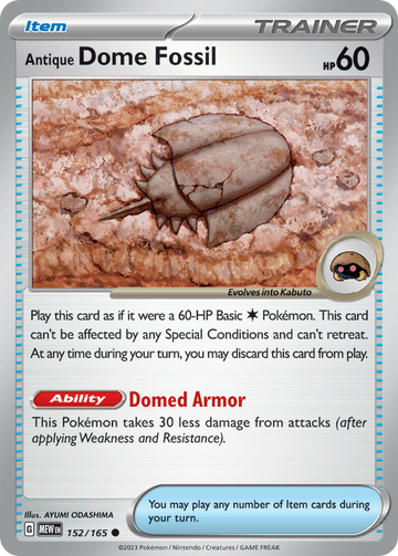 152/165 - Antique Dome Fossil - [Common]