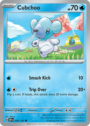 053/197 - Cubchoo - [Common] - Reverse Holo