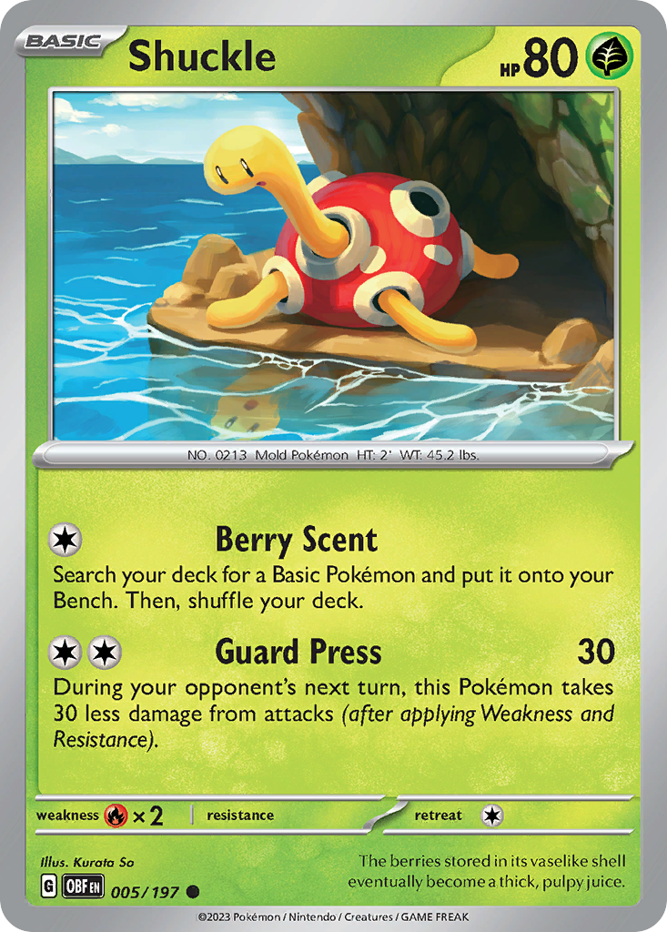 005/197 - Shuckle - [Common] - Reverse Holo